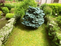 SEREGNO, VILLETTA A SCHIERA, RIF. VS33