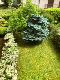 SEREGNO, VILLETTA A SCHIERA, RIF. VS33