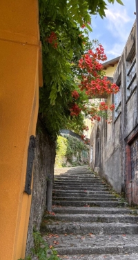NESSO, SOLUZIONE SEMI-INDIPENDENTE - RIF. NV1