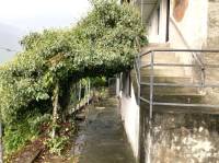 Traona - 3 Locali - RIF. T21